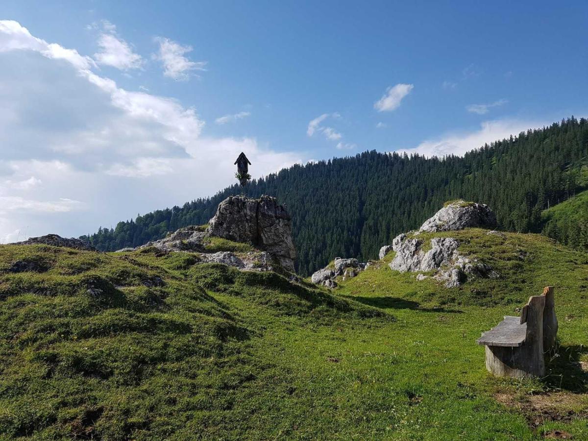 Haus Wiesenblick Oberwössen المظهر الخارجي الصورة