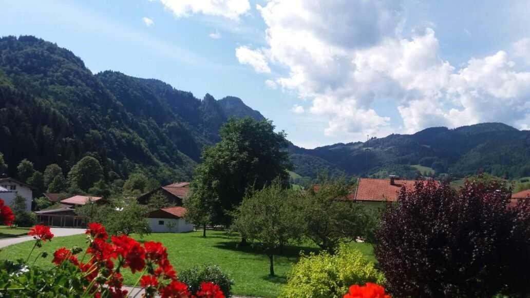 Haus Wiesenblick Oberwössen المظهر الخارجي الصورة